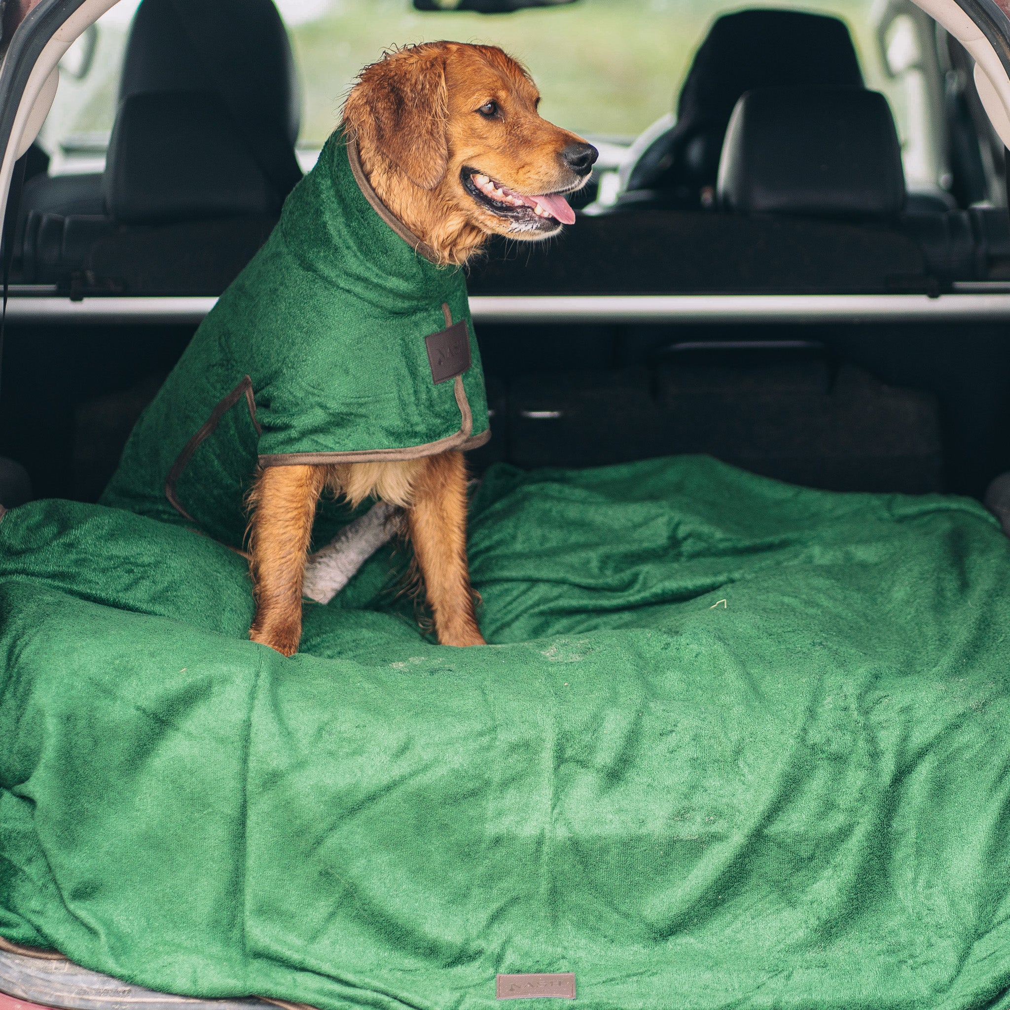 Wet, smiling Golden Retriever sat in the boot of a car after a walk, drying off with a NASH bamboo dog coat and matching dog throw in forest green. 