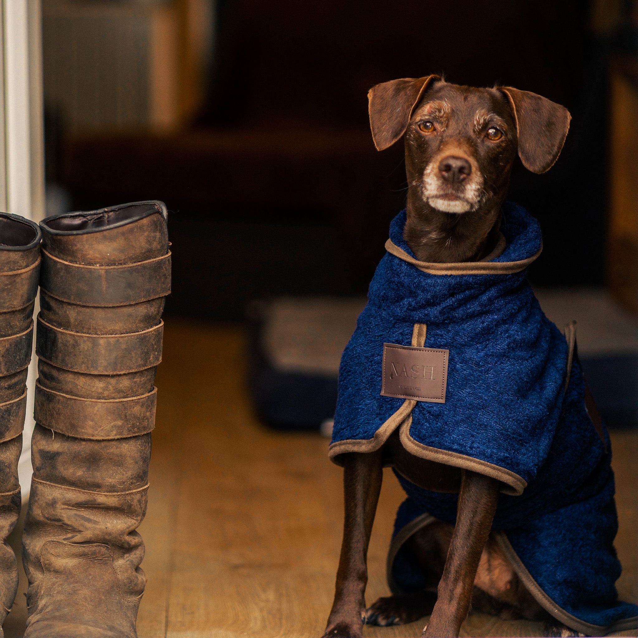 A dog sat in a doorway, wearing the NASH navy blue bamboo dog drying coat. 