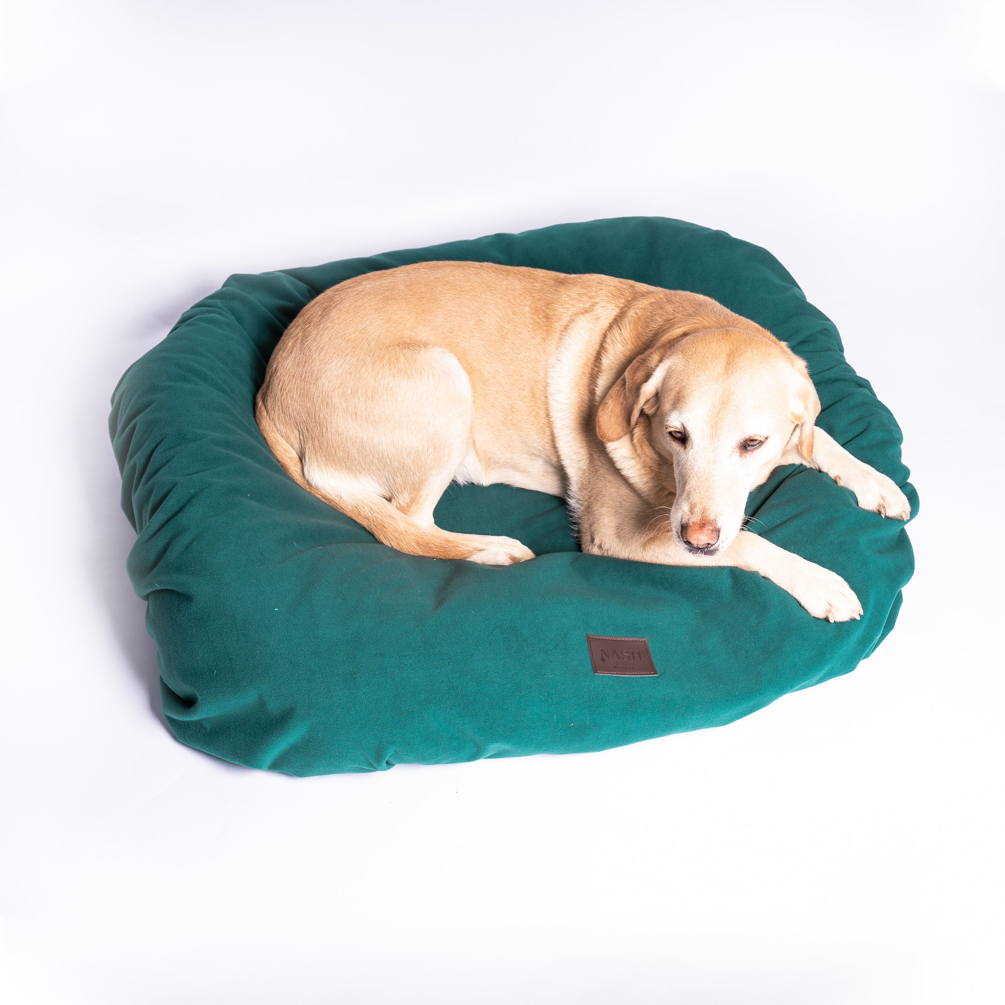 Golden Labrador resting on its dog bed, covered with the NASH waterproof microfleece dog bed cover. 