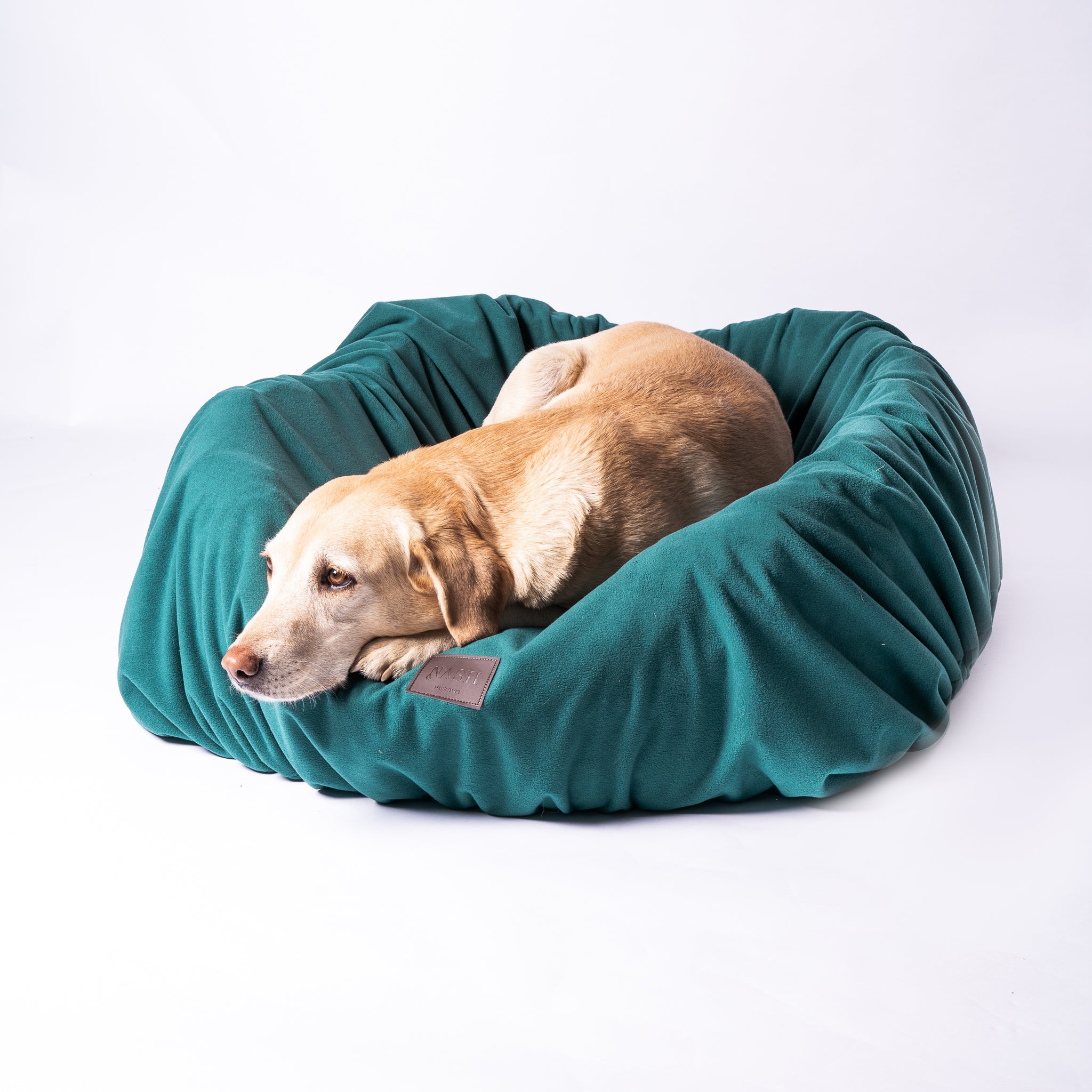 Golden Labrador laying down in its dog bed. The bed is covered with the NASH waterproof microfleece dog bed cover. 