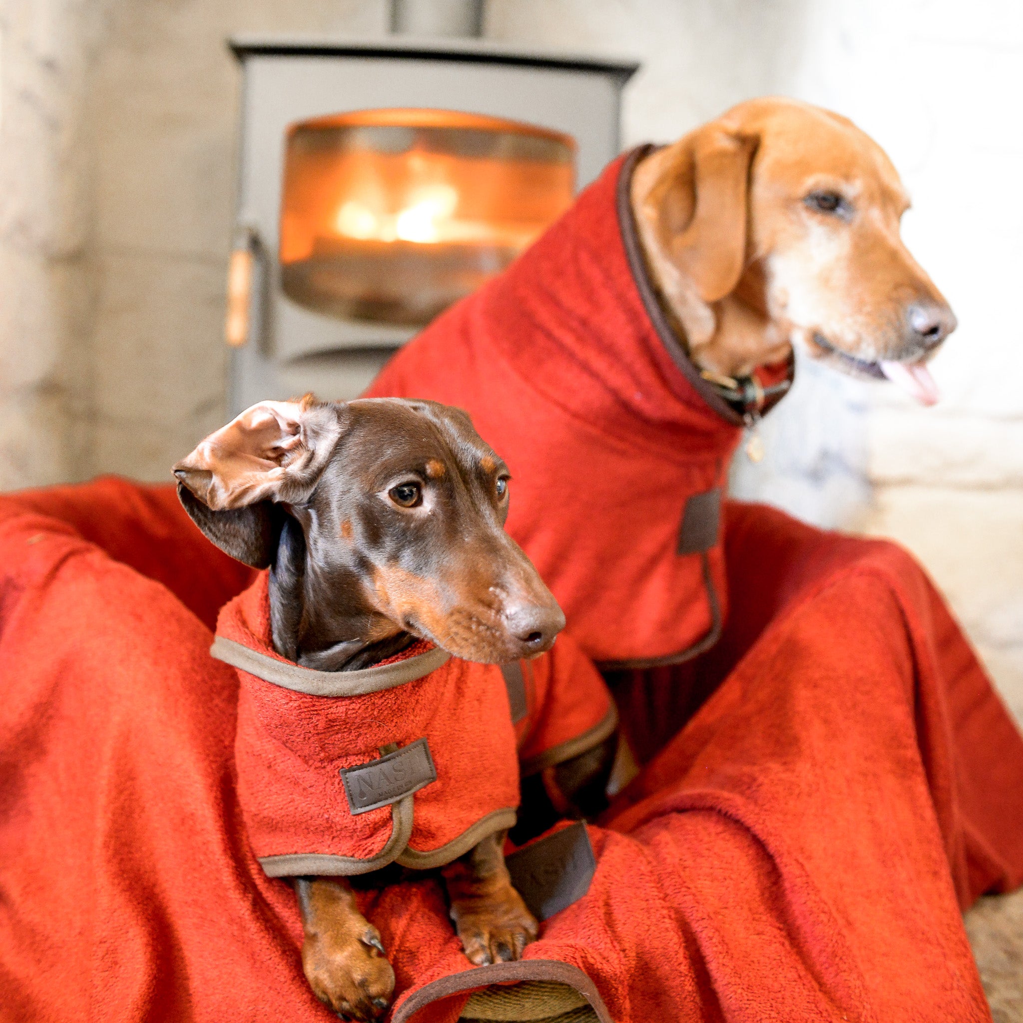 Two dogs relaxing in front of a fire ontop of a NASH dog throw, wearing matching red NASH bamboo dog drying coats.