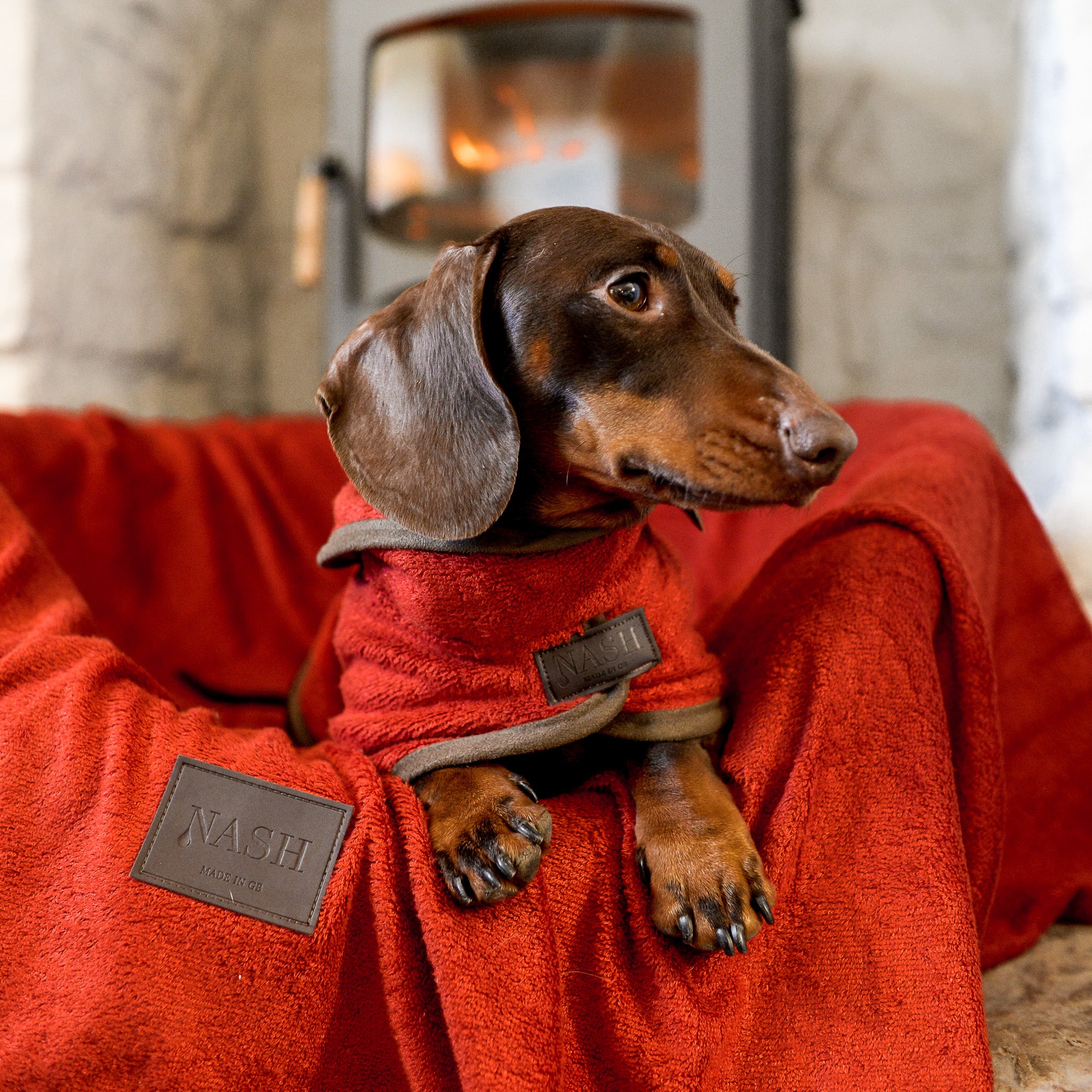 Dachshund resting in its bed in front of a fireplace. The bed has been lined with the red NASH dog bamboo throw.