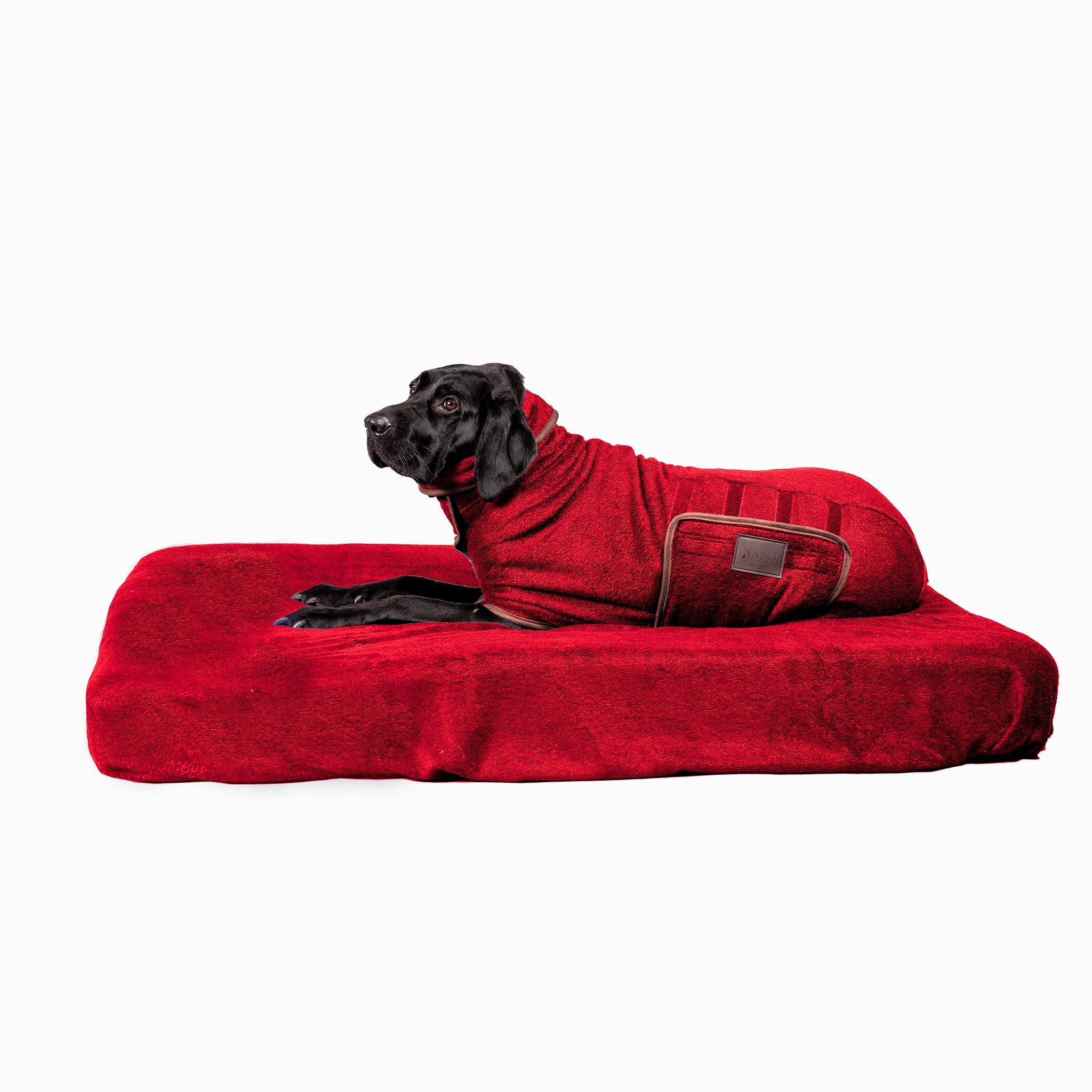 Black Labrador resting on a red NASH dog bed cover & bed, wearing the matching bamboo dog drying coat.