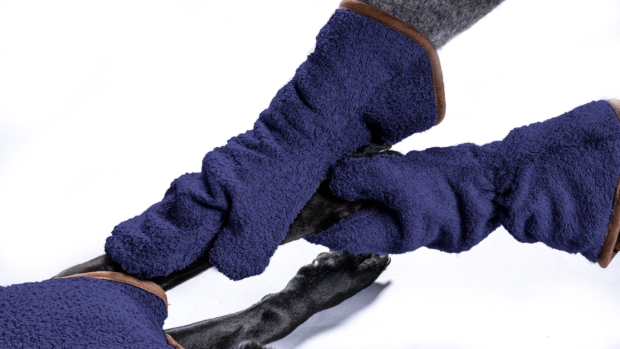 Black Labrador having its paws dried with a pair of navy blue dog drying mitts.