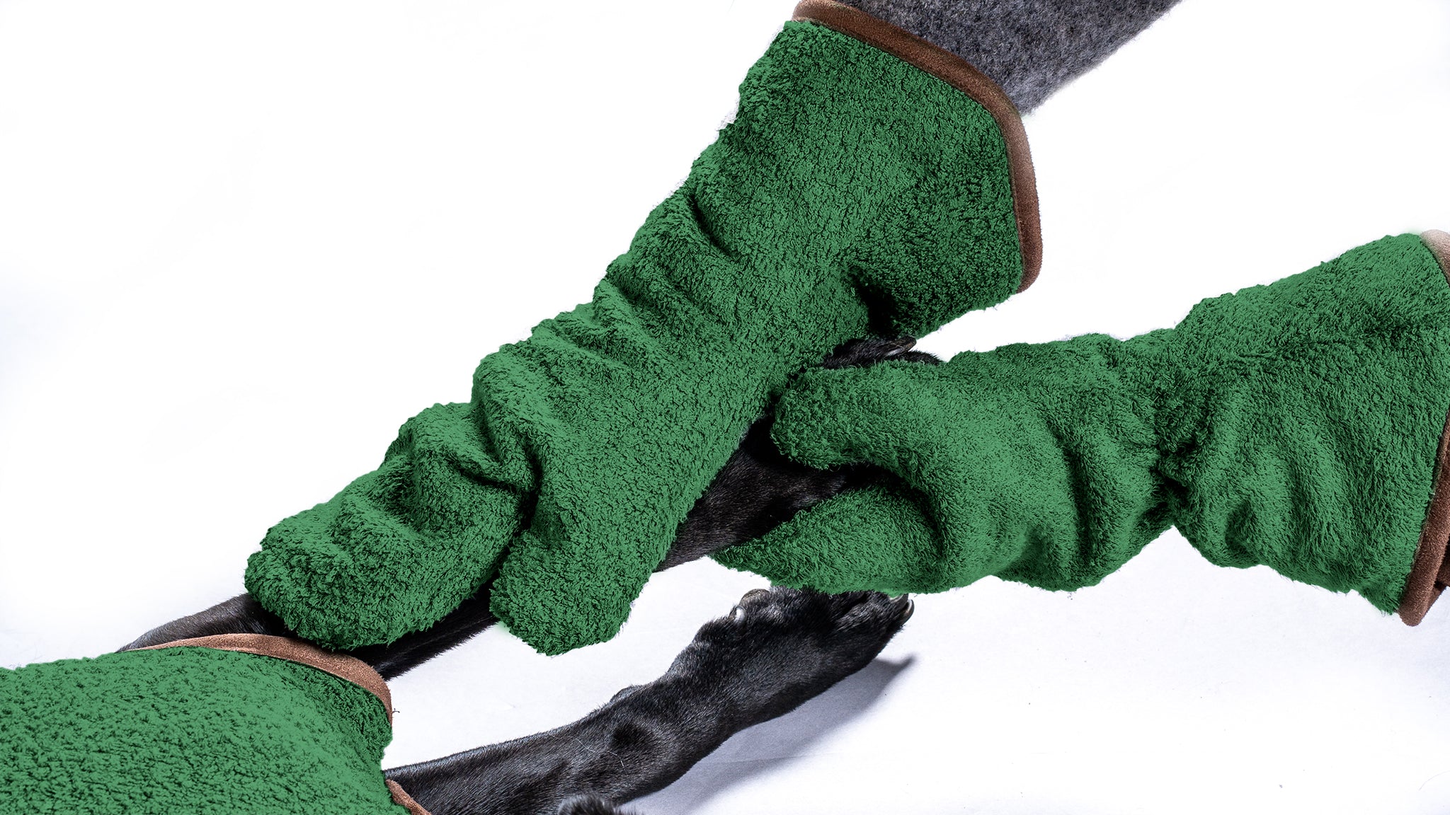 A dog having its paws dried with NASH bamboo dog drying mitts in forest green.