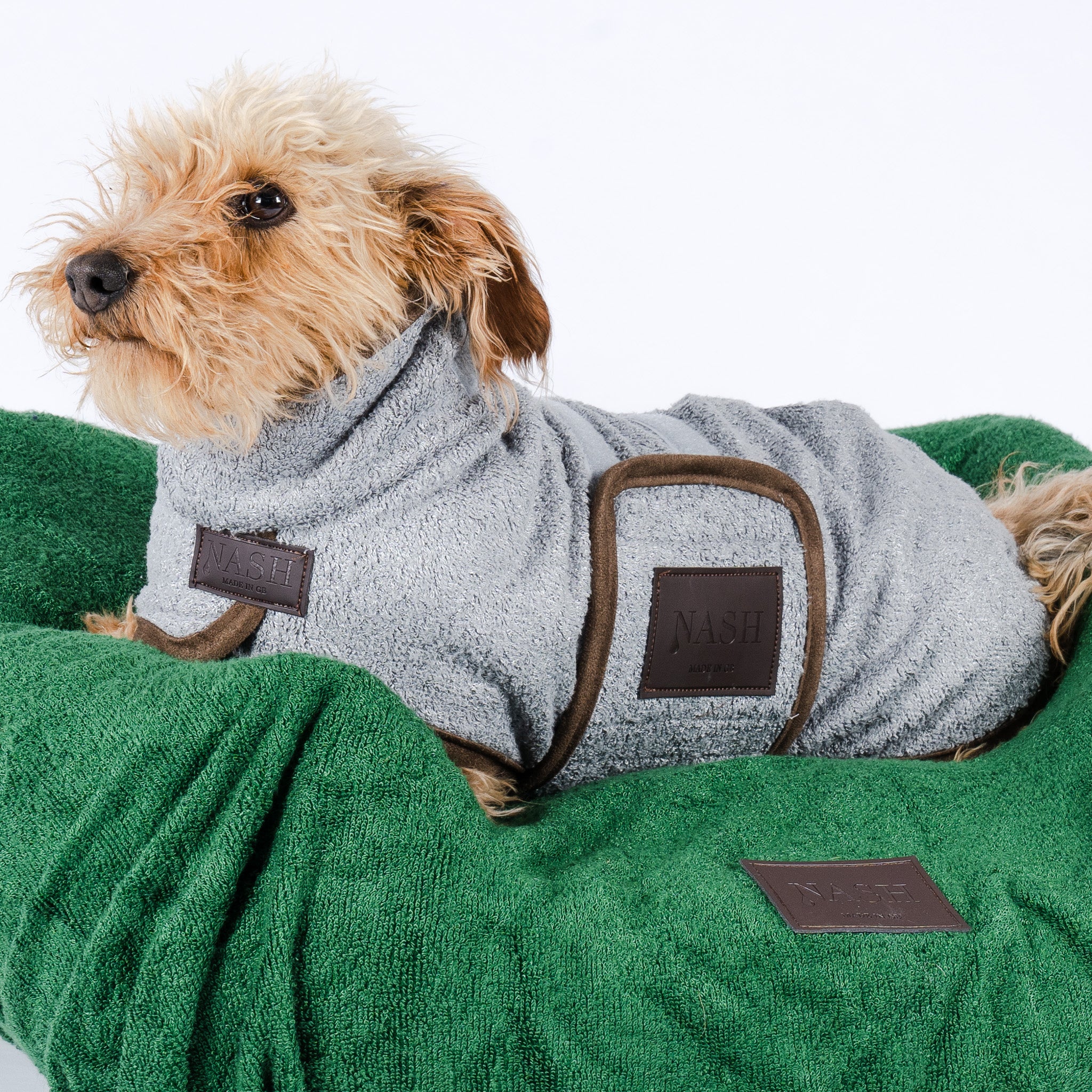 Dutch Smoushond resting on a dog bed with a green cover, whilst wearing a grey bamboo dog drying coat, both by NASH Dog Co. 