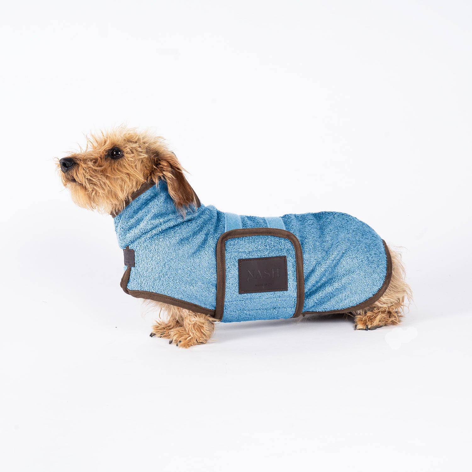 A small dog wearing a Cambridge blue bamboo dog drying coat by NASH. 