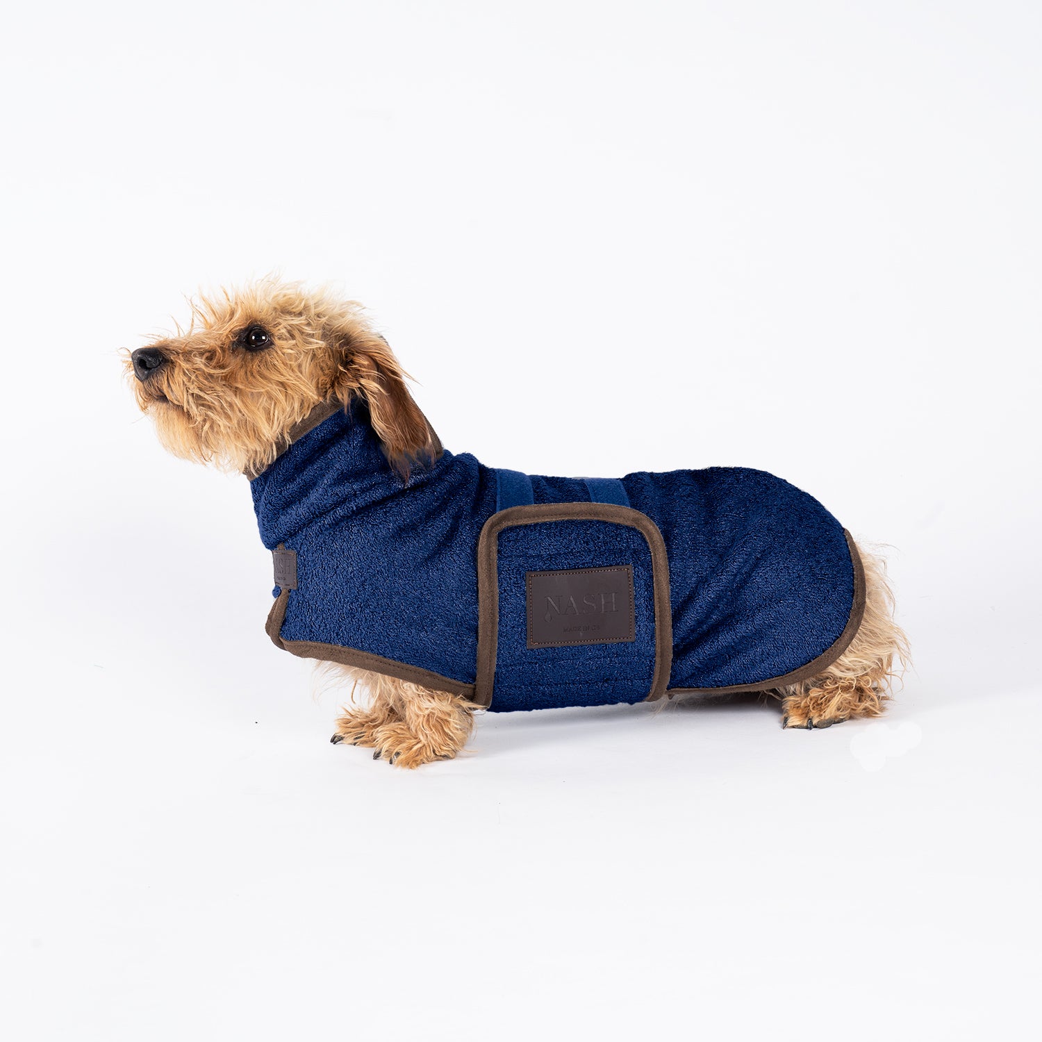 Small dog wearing a navy blue bamboo dog drying coat by NASH Dog Co.